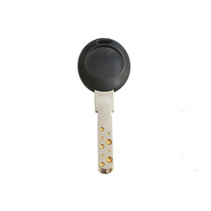9 Pin Tumbler Key With Plastic Head E102